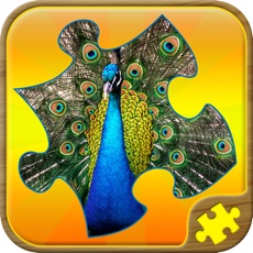 Activities of Puzzle Games Jigsaw