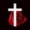 The Rosary Deluxe App: A Guide for Newcomers, Old-Timers, and Those in Between