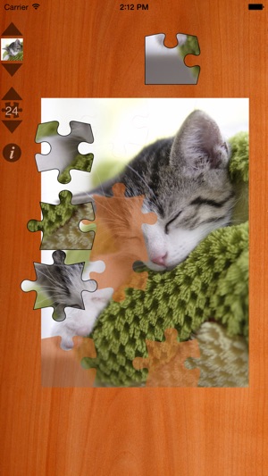 Cat Puzzles