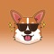 React with cute Corgi Dog Stickers and Emojis Pack