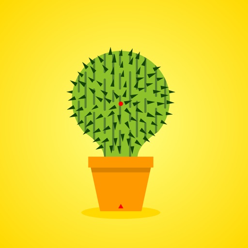 Lucky Cactus iOS App