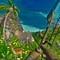Archery Animals-Jungle Hunting Shooting 3D Game