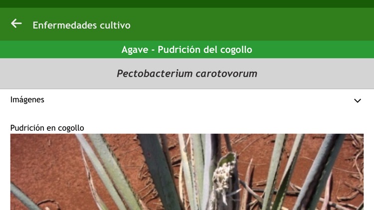 SummitAgro Mexico screenshot-3