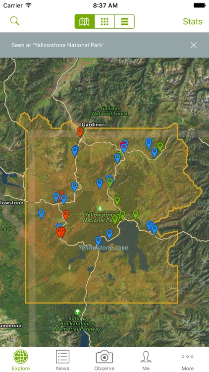 iNaturalist screenshot-3