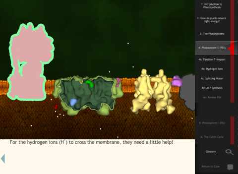 IC Photosynthesis screenshot 2