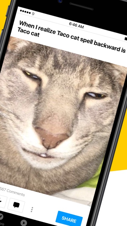 9GAG: Best LOL Pics & GIFs