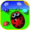 High speed endless running ladybug adventure