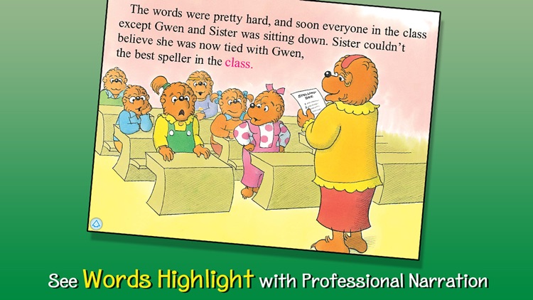 The Berenstain Bears Collection #1