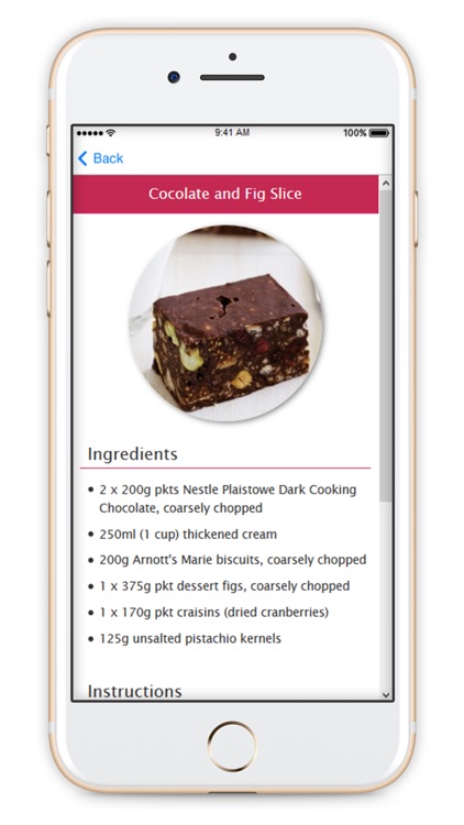 Easy No-Bake Desserts Recipes screenshot-3