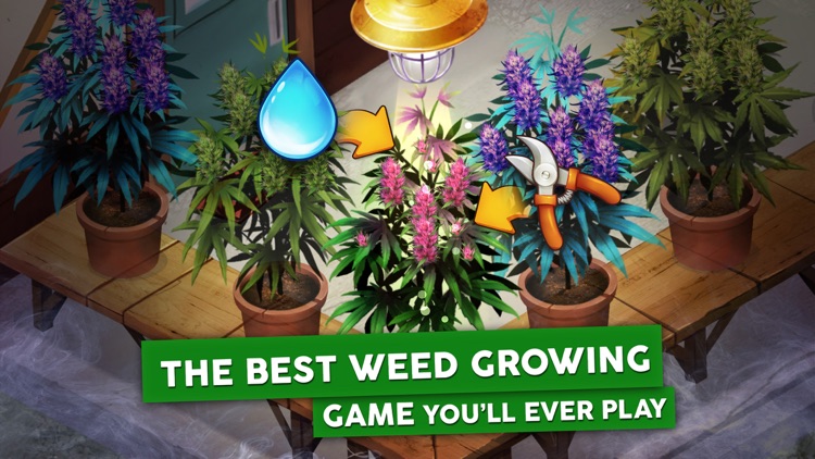 Hempire - Weed Growing Game screenshot-4