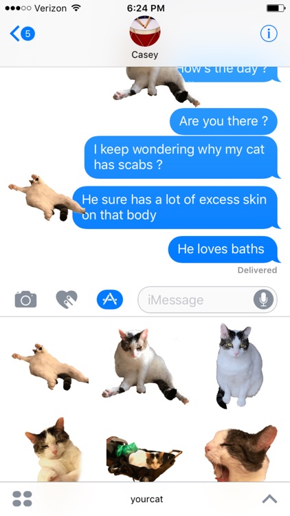 Your Cat Snowball