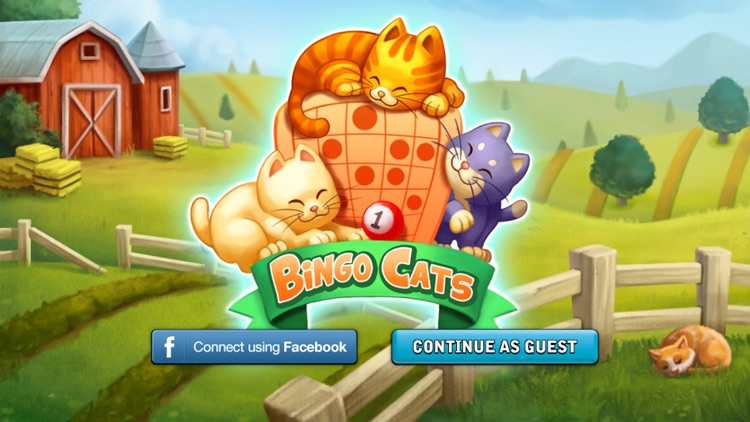 Bingo Cats