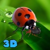 Ladybug Insect Survival Simulator 3D