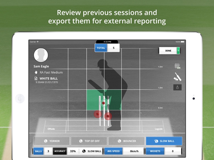 Wickets screenshot-3