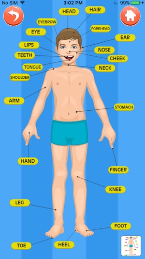 Learn about Body Parts(圖3)-速報App