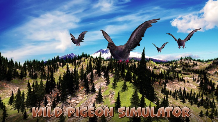 Wild Pigeon Simulator Full