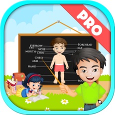Activities of Learning Human Body Part Pro