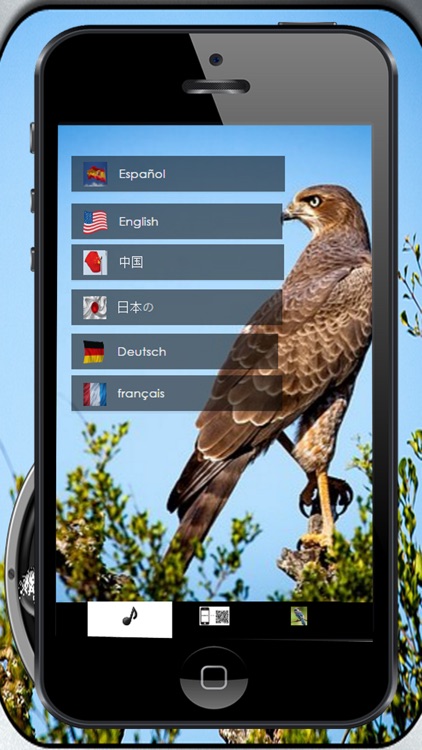 Bird song Silvestes screenshot-3