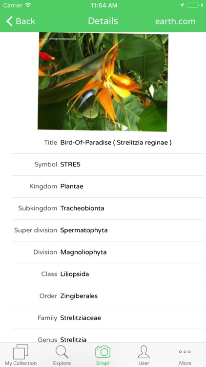 PlantSnap Plant Identification