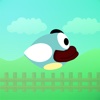 Flappy - Happy Bird