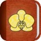 Orchid Album makes keeping track of your orchids easy
