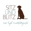 Sitz und Blitz Hundefotografie