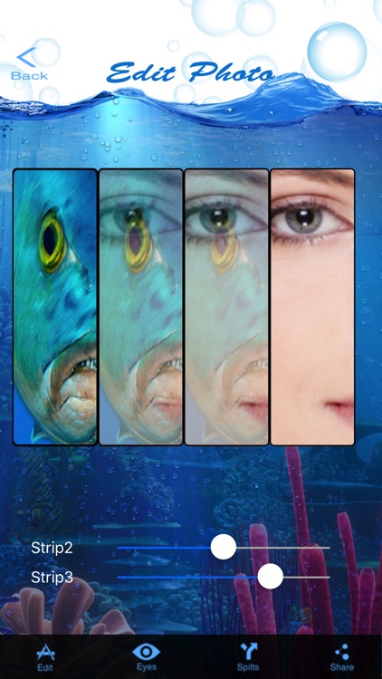 Shark Eyes Photo Blender - morph face into fish screenshot-3