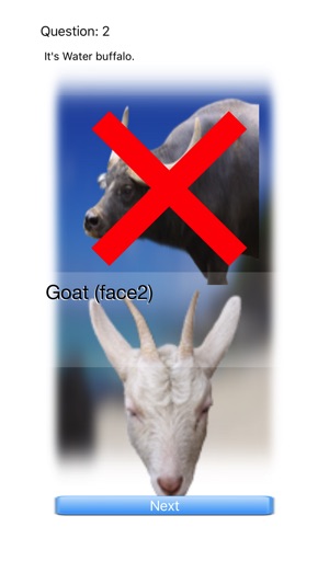 Animal Faces Touch Quiz :: Hit a face of an animal(圖4)-速報App