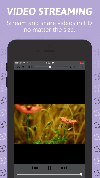 BigMIND Cloud Backup screenshot-3