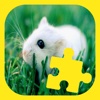 Learning Mouse Games Jigsaw Puzzles Version
