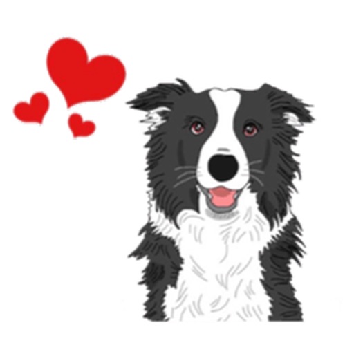 Mr. Pickles The Cute Border Collie Dog Sticker iOS App