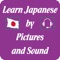 Icon Japanese Vocabulary - Learn and Test