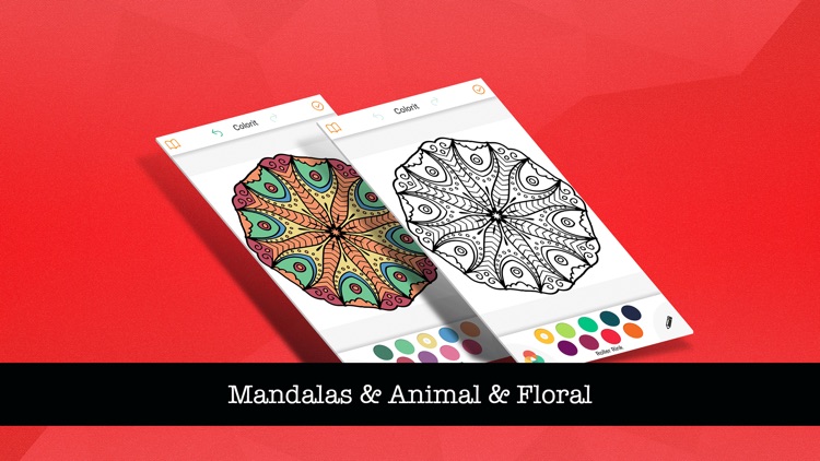 Animals & Mandalas Coloring Book