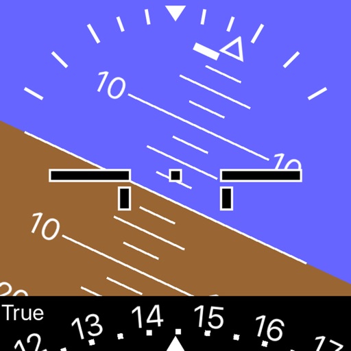 iBFD (integrated Backup Flight Display)