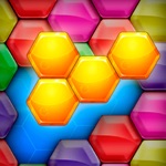 Hexa Bricks The Brain Game