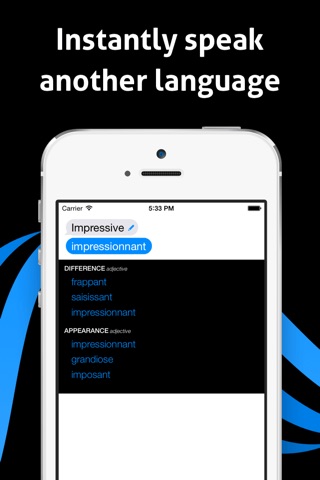 iTranslate Voice Lite screenshot 2