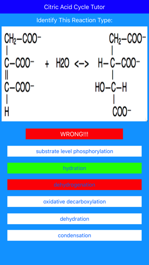 Citric Acid Cycle Tutor(圖4)-速報App