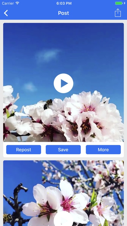 Savegram - Save Your Own Instagram Videos & Photos