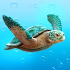 Top 10 Entertainment Apps Like WikiTurtle - Best Alternatives