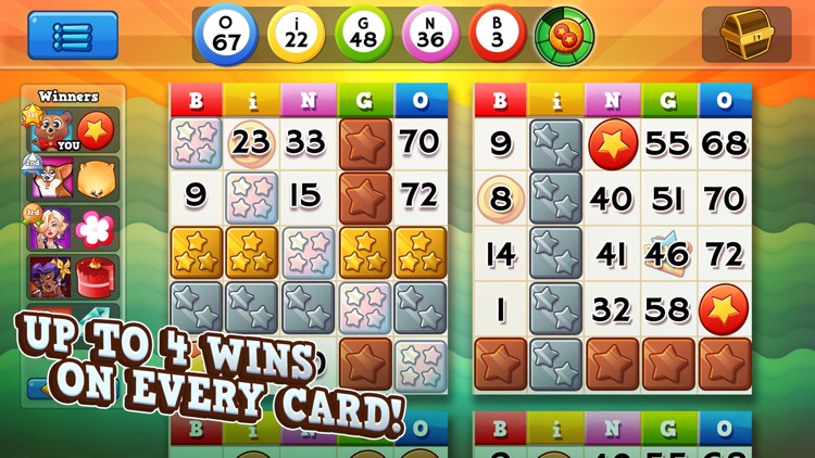 Bingo Pop