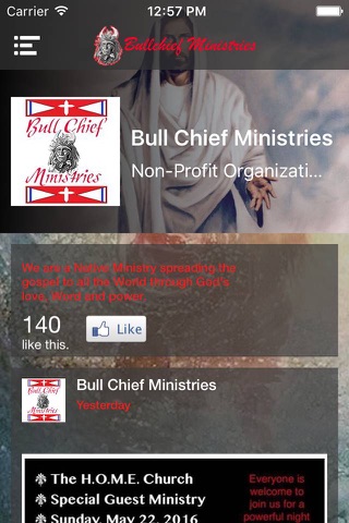 Bull Chief Ministries screenshot 3