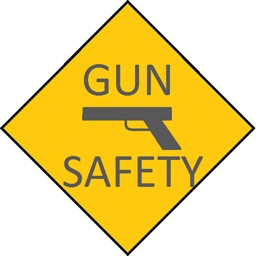 Gun Safety Test