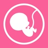 孕妇孕期营养师-您的孕期营养指导