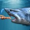 The crazy shark simulator game is here