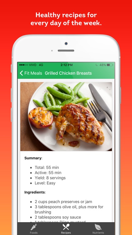 Fit Meals - healthy recipes and diet ingredients