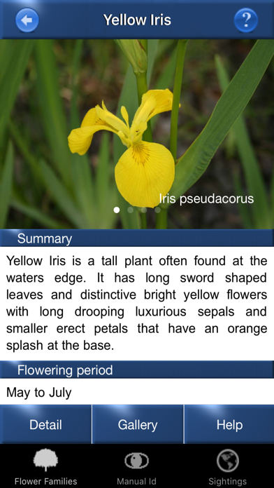 Wild Flower Id Automatic Recognition British Isles Screenshot 4