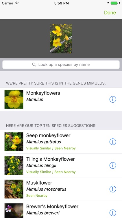 iNaturalist