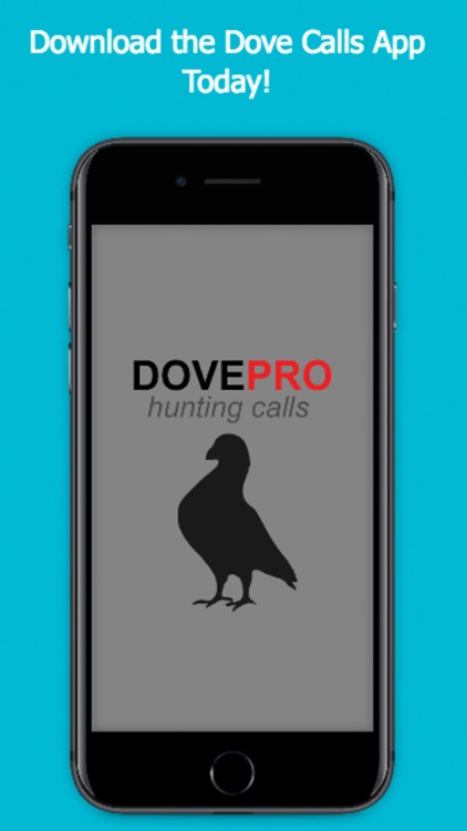 Animal Calls for Dove Hunting