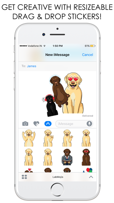 How to cancel & delete LabMojis - Labrador Retriever Emoji & Stickers from iphone & ipad 3