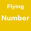 Flying Number